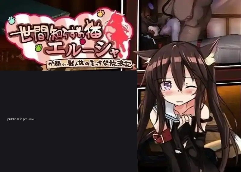 不谙世事的猫艾露莎 运行问题 实机截图
